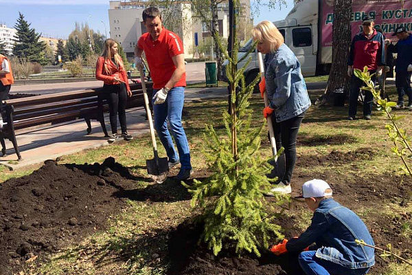 Традиционная посадка аллеи Клуба Директоров 