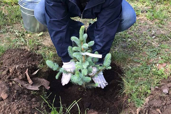 Аллея Клуба Директоров СО 26.05.2018