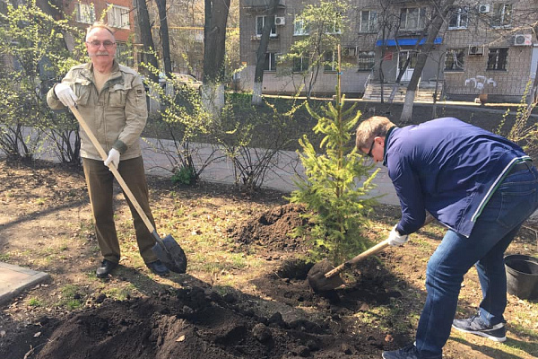 Традиционная посадка аллеи Клуба Директоров 