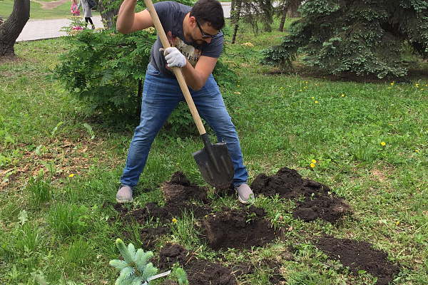 Аллея Клуба Директоров СО 26.05.2018