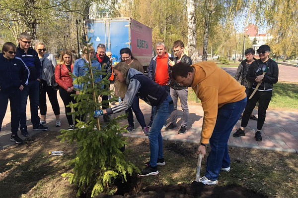 Традиционная посадка аллеи Клуба Директоров 